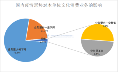 中國旅游研究院發布《2022年上半年全國文化消費數據報告》 入境旅游業務在挑戰中顯現新機遇